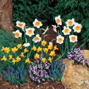 Spring is in the Air