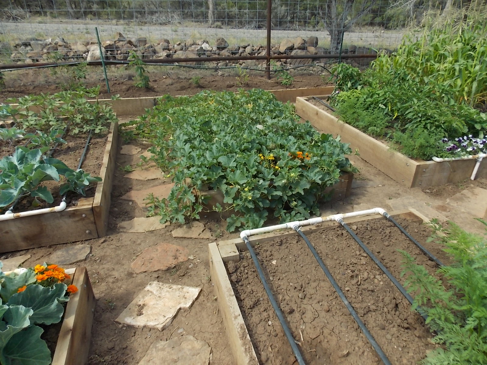 Raised Bed Gardening, a How To