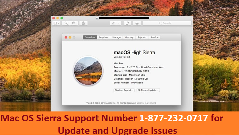 1 877 232 0717 Apple Customer Service Phone Number For Mac Help