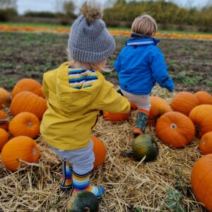 Season 3 Episode 1: Celebrating soil, picking pumpkins and squashing waste