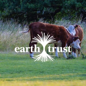 Spring at Earth Trust Farm