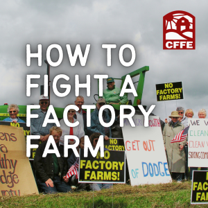 Introducing: How to Fight a Factory Farm