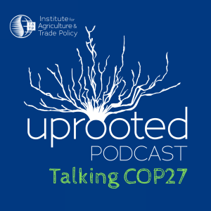 Talking COP27 Episode 3: Time for true solutions