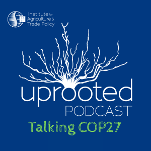 Introducing Uprooted: Talking COP27