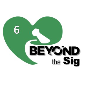 Pharmacists: Unsung Heroes in the Opioid Epidemic | Beyond the Sig 06