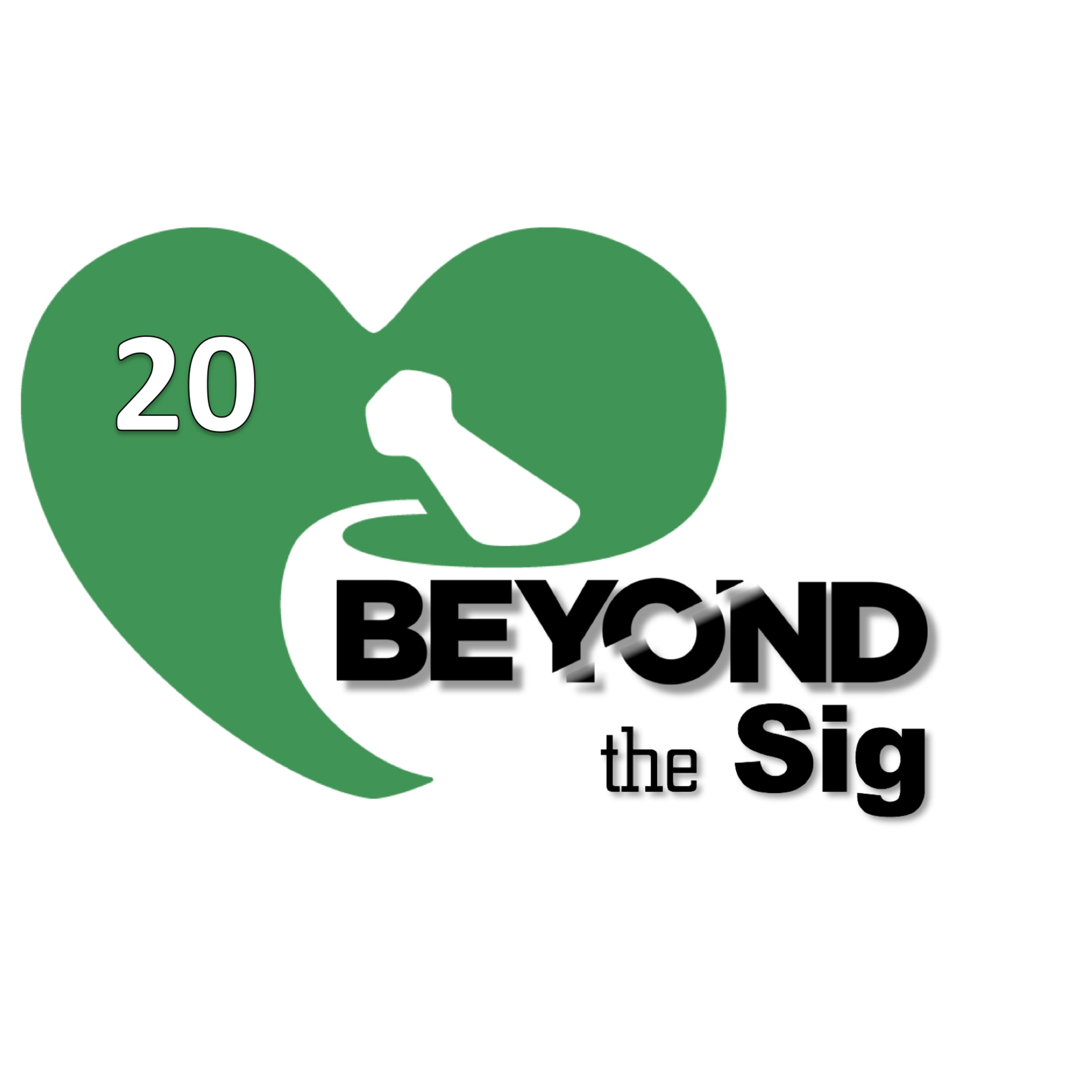 The Road to Provider Status: Lessons from Ohio | Beyond Sig