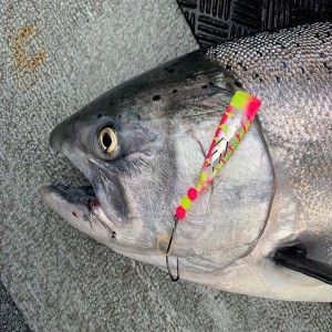 Spring Chinook Salmon Fishing Tips & Tricks with Brad's Killer Fishing Gear