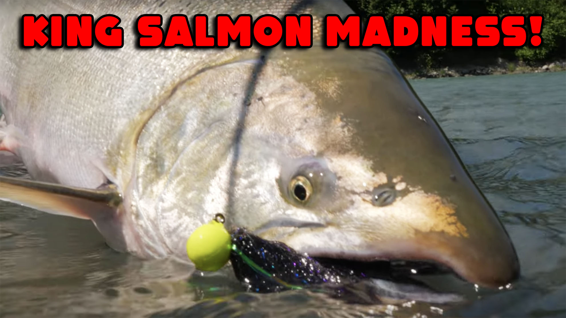 Addicted Fishing Podcast