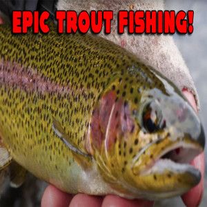 Fall & Winter Trout Fishing Tips & Tricks!