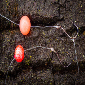 Bead Fishing For Trout, Salmon, And STEELHEAD!