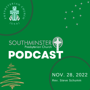 November 28, 2022 - Day 2 - Rev. Steve Schumm