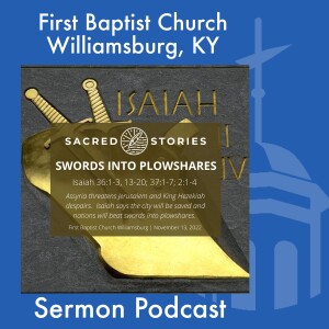 November 13th, 2022 - ”Swords into Plowshares”