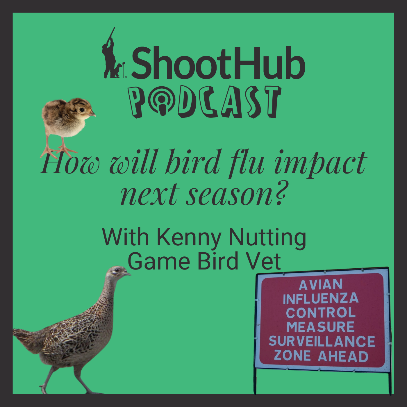 The ShootHub Podcast
