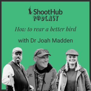 How to rear a better bird