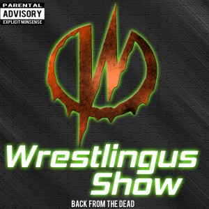 Wrestlingus Show: WWE Review: Damien Banner or Bruce Priest?