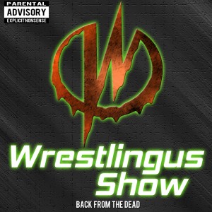 Wrestlingus Show: Survivor Series Review