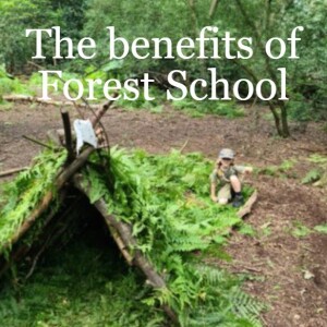 The benefits of Forest School