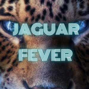 Jaguar Fever , The Home Team is in The Playoffs