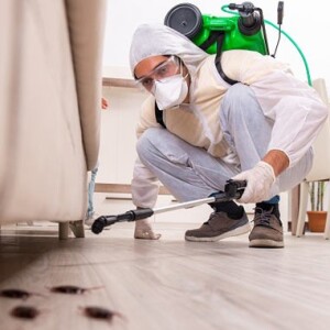 What Can Be Expected From a Pest Control Professional?