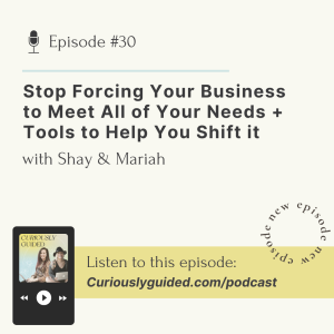 Ep.30 | Stop Forcing Your Business to Meet All of Your Needs