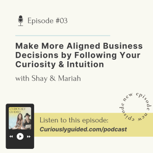 Ep.03 | Make More Aligned Business Decisions by Following Your Curiosity & Intuition