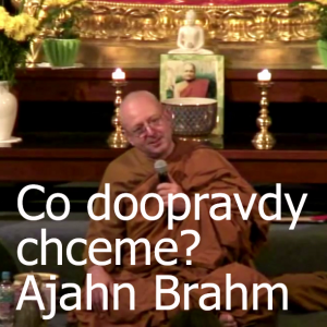 Co doopravdy chceme? | Ajahn Brahm | 6.5.2011