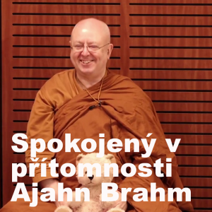 Jak být spokojený v přítomnosti 🧘| Ajahn Brahm | 16.6.2020 | Buddhistická spiritualita