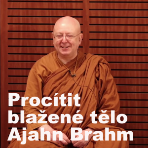 Procítit blažené tělo 🧘| Ajahn Brahm | 23.6.2020 | Buddhistická spiritualita