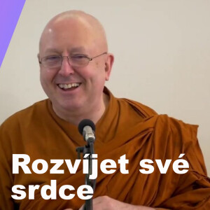 Rozvíjet své srdce ♥️ | Ajahn Brahm | 2.12.2016