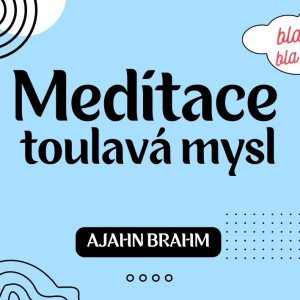 Meditace - jak na toulavou mysl🧘| Ajahn Brahm | 15.11.2014