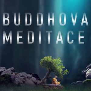 Buddhova meditace 🧘(v jeskyni srdce) | Ajahn Brahm | 10.12.2021