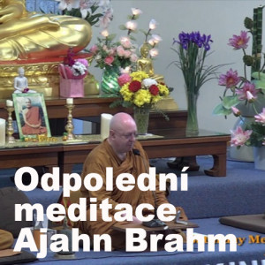 Meditace krok za krokem 🧘| Ajahn Brahm | 10.10.2020 | Buddhismus