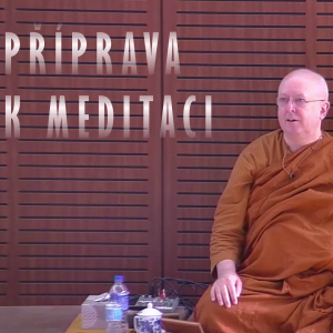 Příprava k meditaci | Ajahn Brahm | 2.10.2017 | Buddhismus