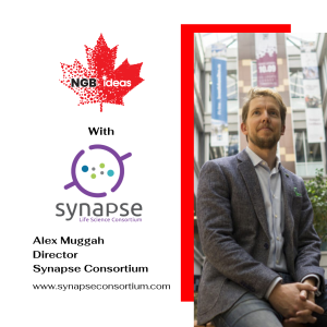 Alex Muggah | Synapse Consortium