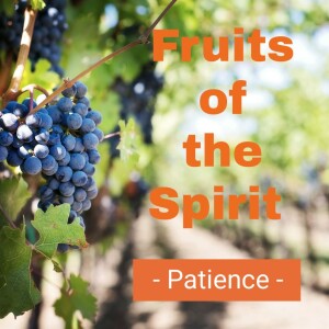 Fruits of the Spirit - Patience