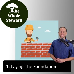 1: Laying The Foundation