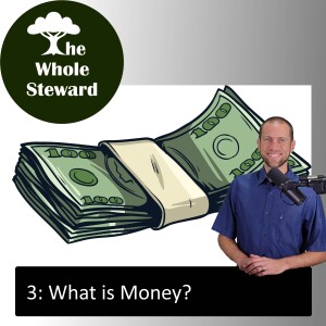 3: What is Money?