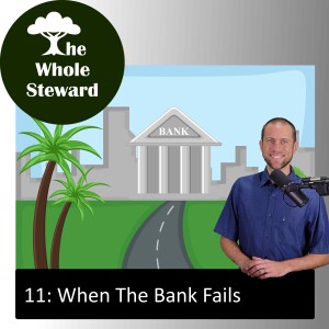 11: When The Bank Fails