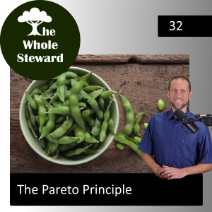 32: The Pareto Principle