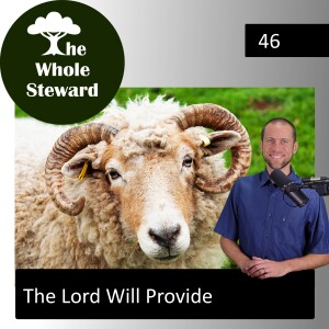46: The Lord Will Provide