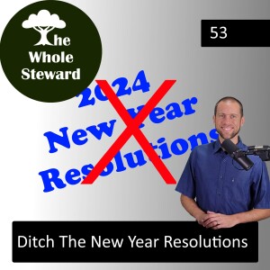 53: Ditch The New Year Resolutions