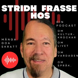 087-"Ska vi dela på notan?" – Kulturkrockar Svenskar vs Latinos
