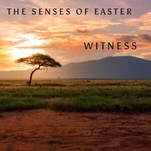 Episode 109 - Worship - The Senses of Easter: Witness (1 Corinthians 15:1-11)