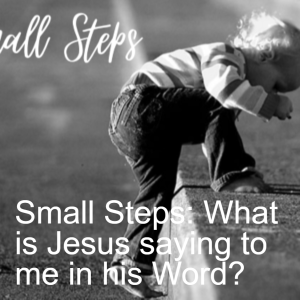 Small Steps: What good can we do around here?