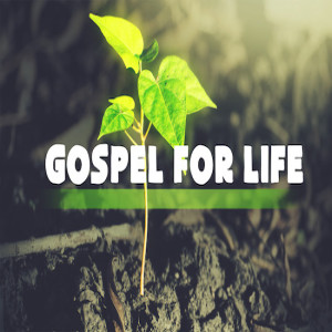 Gospel for life: Work