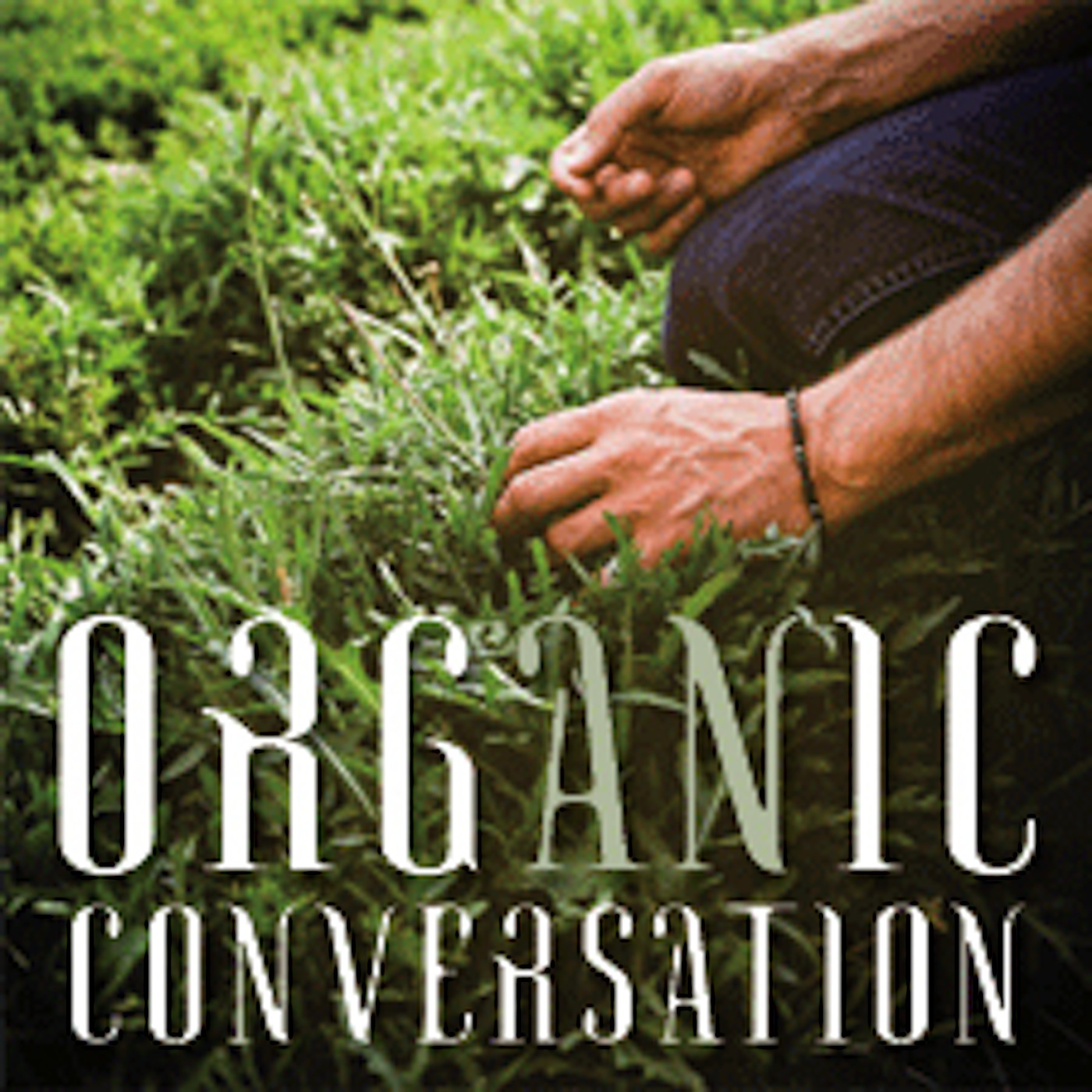 The Epicenter of the Organic Movement: Marin County