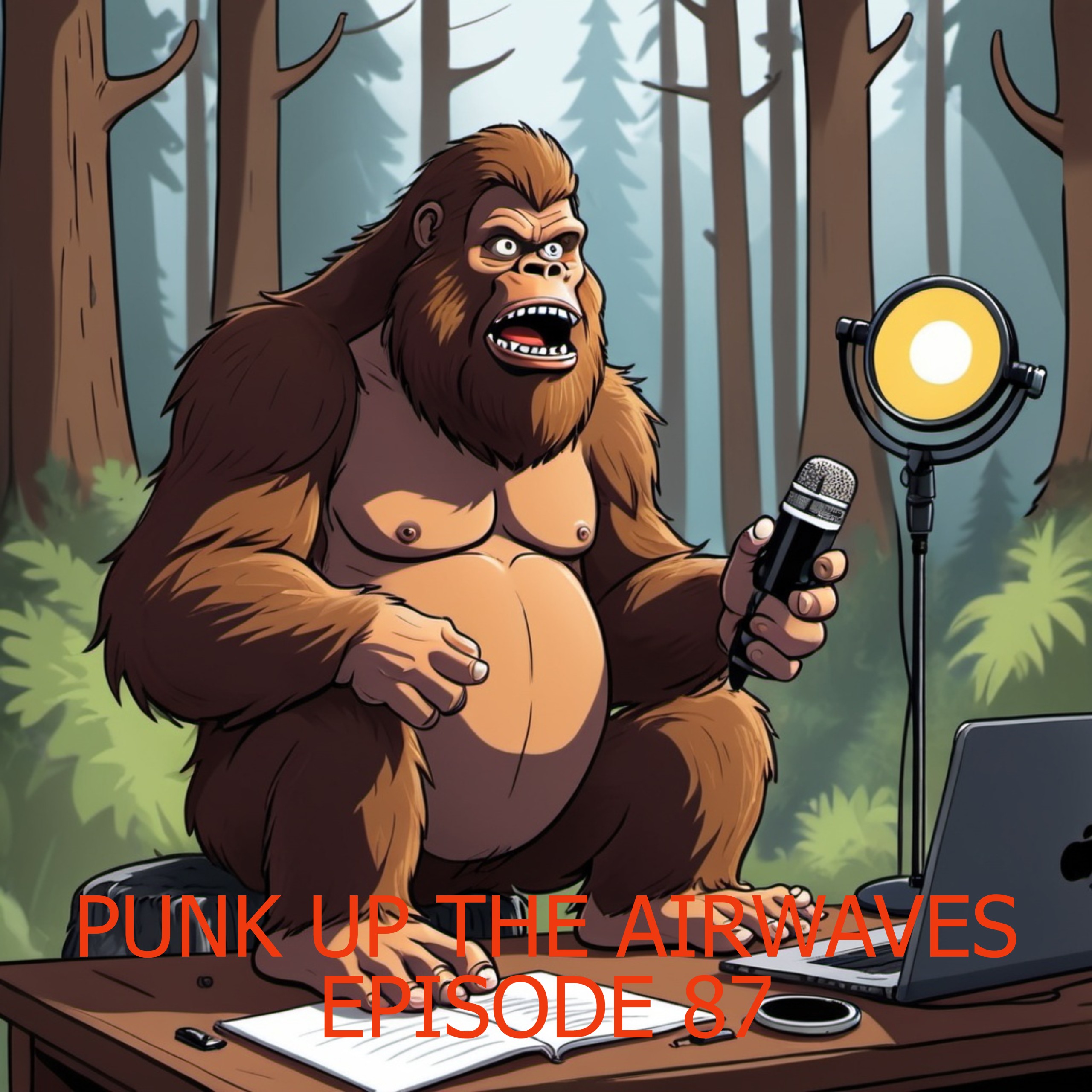 PUNK UP THE AIRWAVES