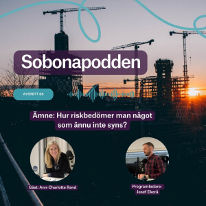 66. Hur riskbedömer man något som ännu inte syns?