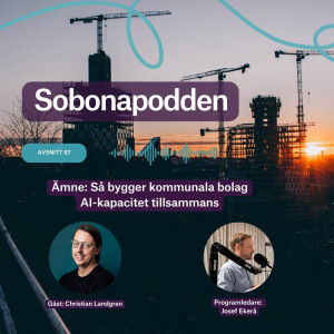 67. Så bygger kommunala bolag AI-kapacitet tillsammans