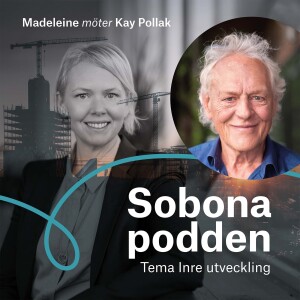 23. Inre utveckling med Kay Pollak - Del 4